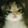mikiiee21