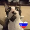 vadimtwogolf