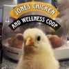 joneschickencoop