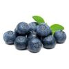 blueberry_225
