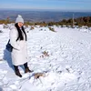 janiceinpoland