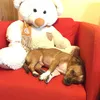 rikythecute