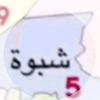 515.h.s.a