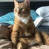 jefferson.the.jerk