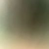 gtrortiz2