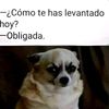 ajah_lo_que_tu_digas