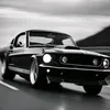 hasan242002