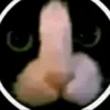 gringa_fla