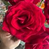 marleny.128