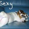 raydoll.zzzz