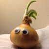 greenonionsan
