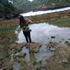 ners.ulfi