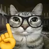 wazt.the.cat