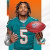 miamidolphins175