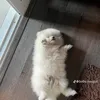 tiwnbaby05