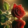 evin_mey