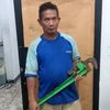 dedi_bor