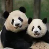nhu_hoa99
