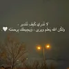 amineff589