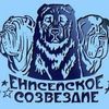 eniseyskoesozvezdie