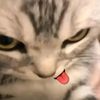 neysha376