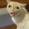 motiongobelin