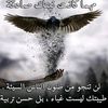 user98435859