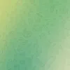 tomyl37