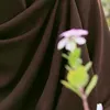imaneelghouzlani