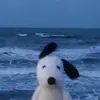 morgszzj