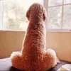 draperfr