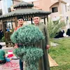 ابن الساده