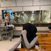 sella_341
