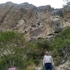 panchogonzalez06