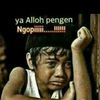 sofyanhadipurwanto
