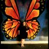 🦋ᥫ᭡👑MARIPOSA DE JESUS🦋;༊