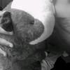 noe_noe210