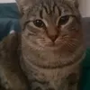 massimoarck