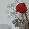 flower880