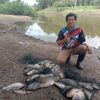 wongngapak726
