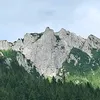 pinczerminiaturka8000