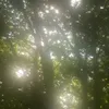 yuimaalu._7