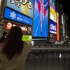 pokkagreentearuninmyvein