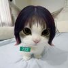 niniiajayaa