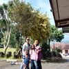 xrz_niza