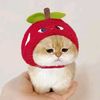 ulittlebby