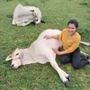marisacodillaymail.com3