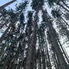 _iwashere454_