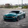 Catfish_Zl1