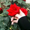 userwuiv5oq9q6